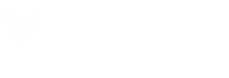 Molzana Analytics & Data Solutions