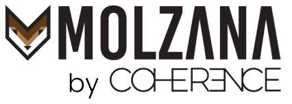 Molzana Logo Blue
